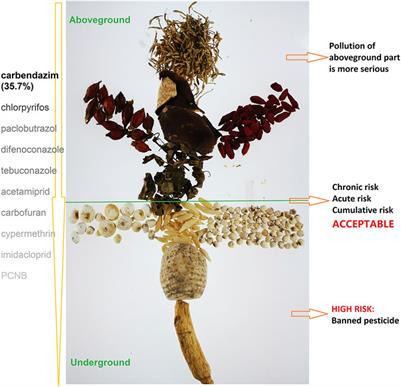 Levels and Health Risk of Pesticide Residues in Chinese Herbal Medicines